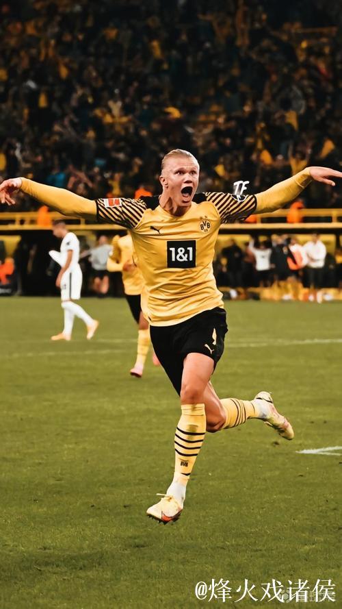 19岁前锋新秀哈兰德签约多特蒙德